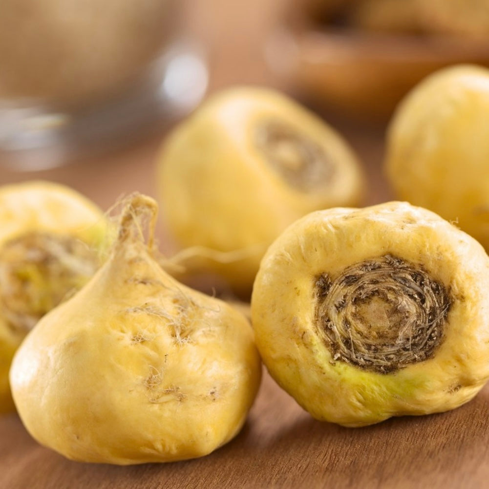 MACA ROOTS BENEFITS, TYPE, RECOMMENDATIONS & RECIPE